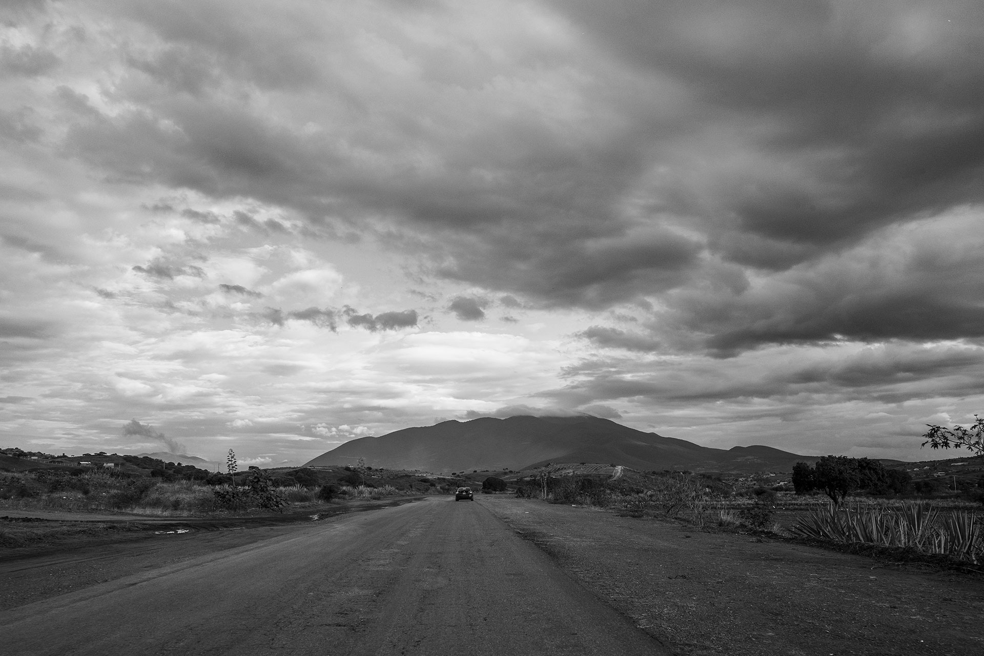 Spiritu Mezcal Background