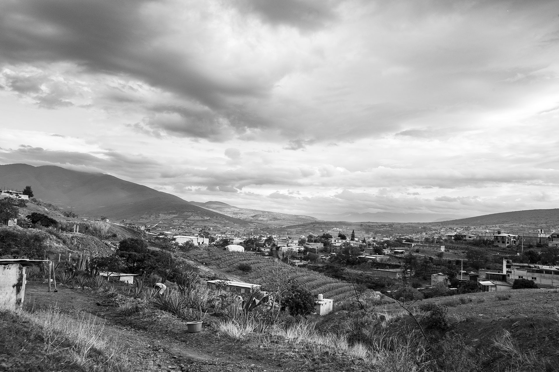 Spíritu Mezcal Background